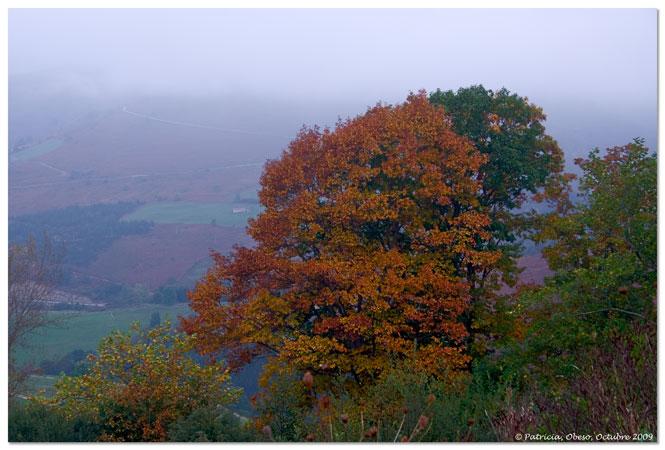 Foto de Obeso (Cantabria), España