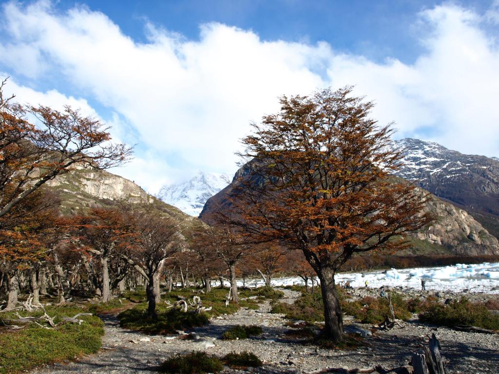 Foto de Patagonia, Argentina