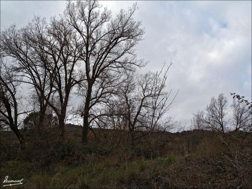 Foto de Somaen (Soria), España