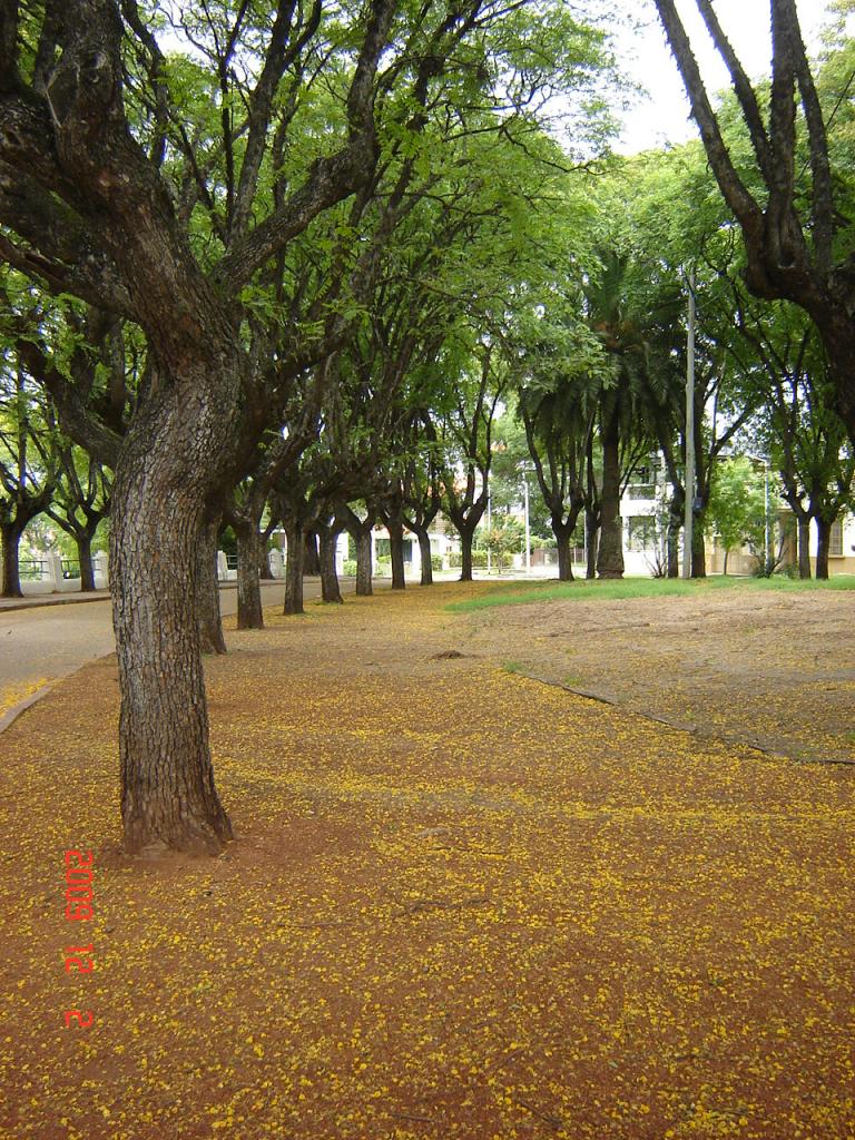 Foto de San Pedro (Buenos Aires), Argentina