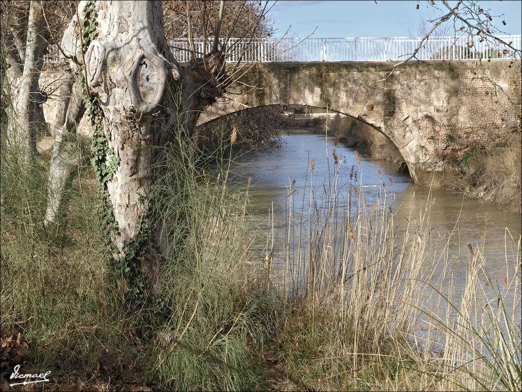 Foto de Zaragoza (Aragón), España