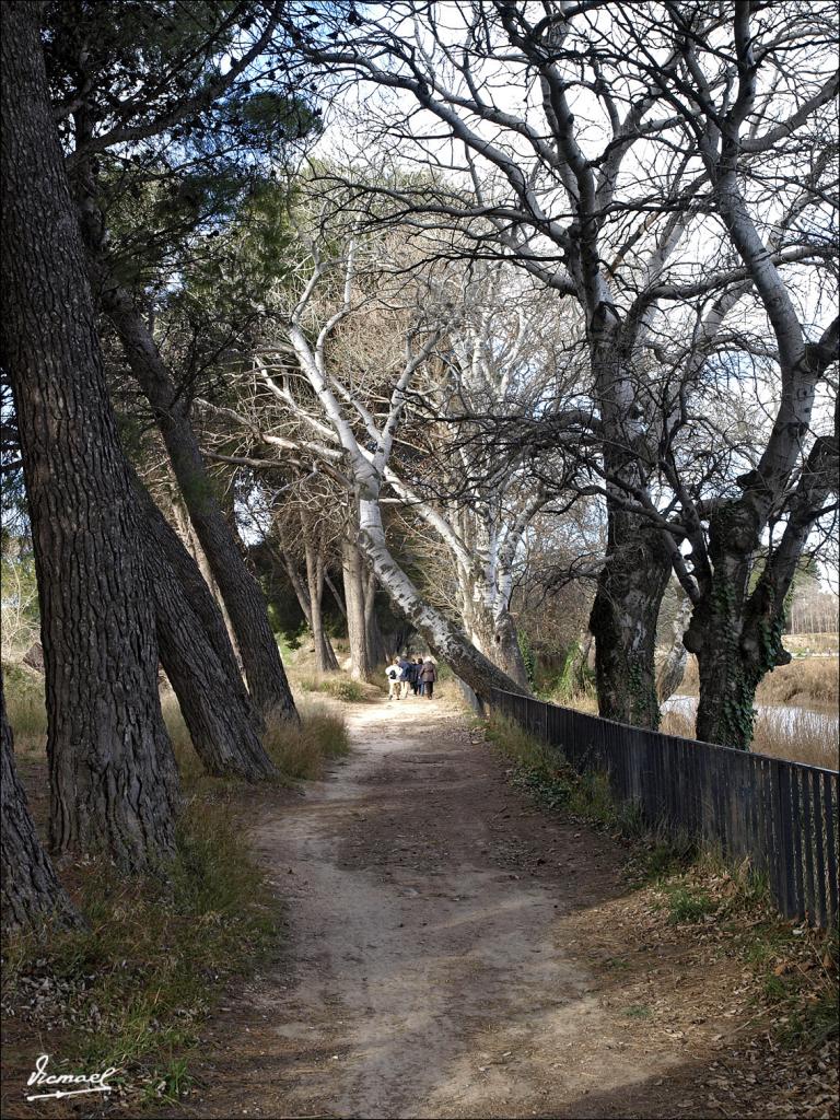 Foto de Zaragoza (Aragón), España