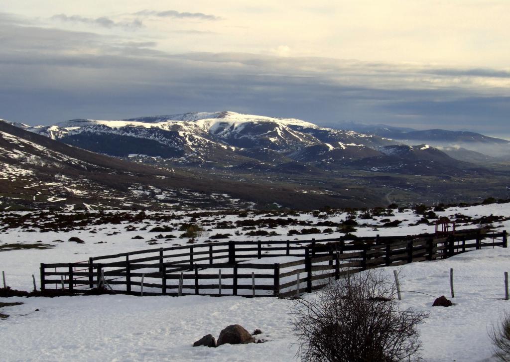 Foto de Alto Campoo (Cantabria), España