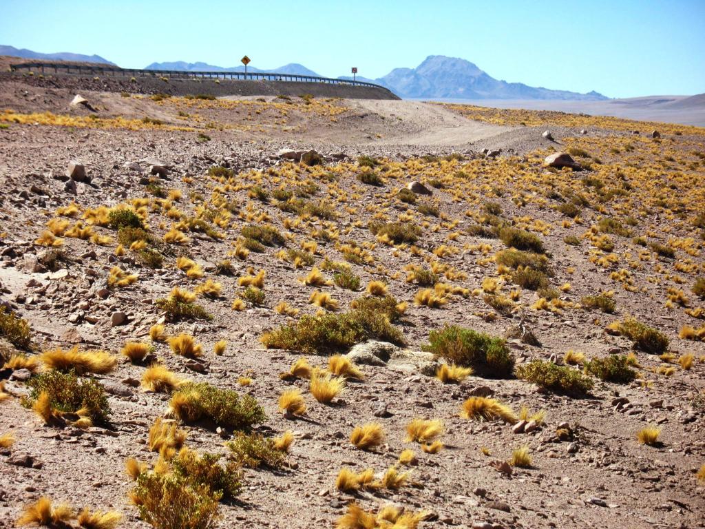 Foto de San Pedro de Atacama, Chile