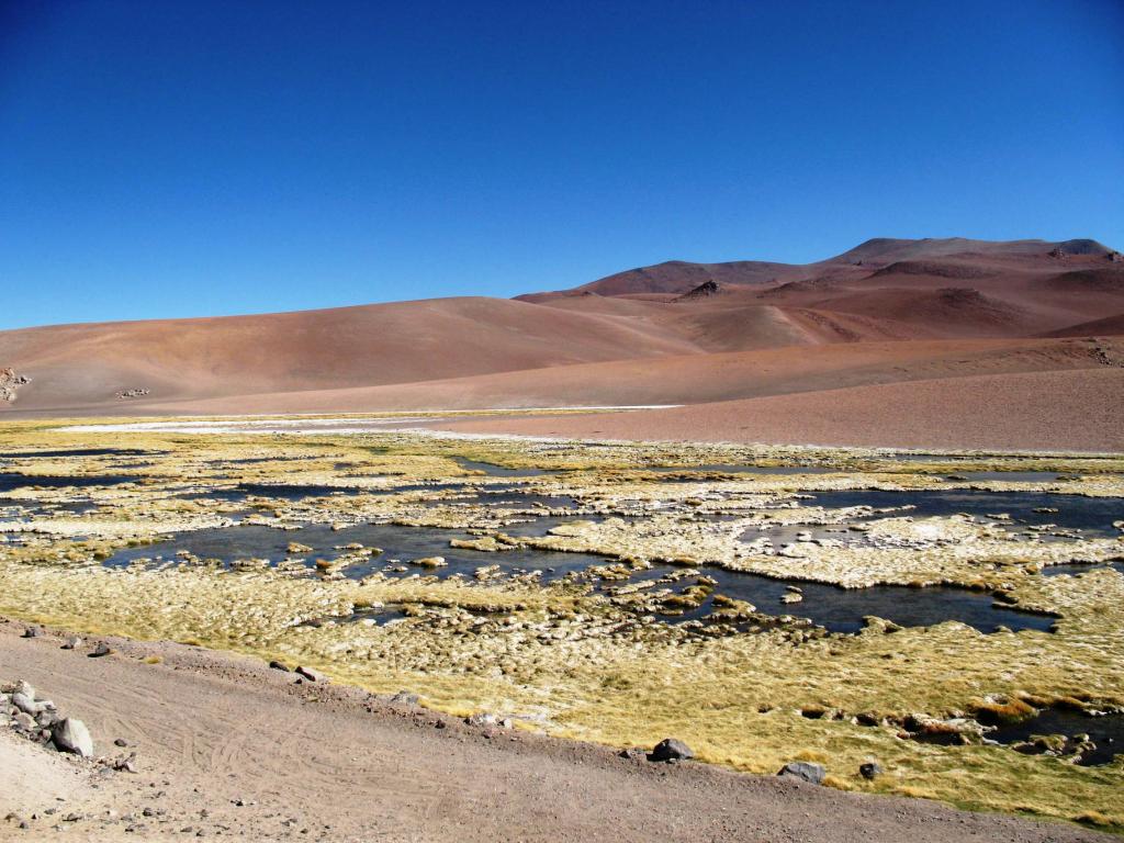 Foto de San Pedro de Atacama, Chile