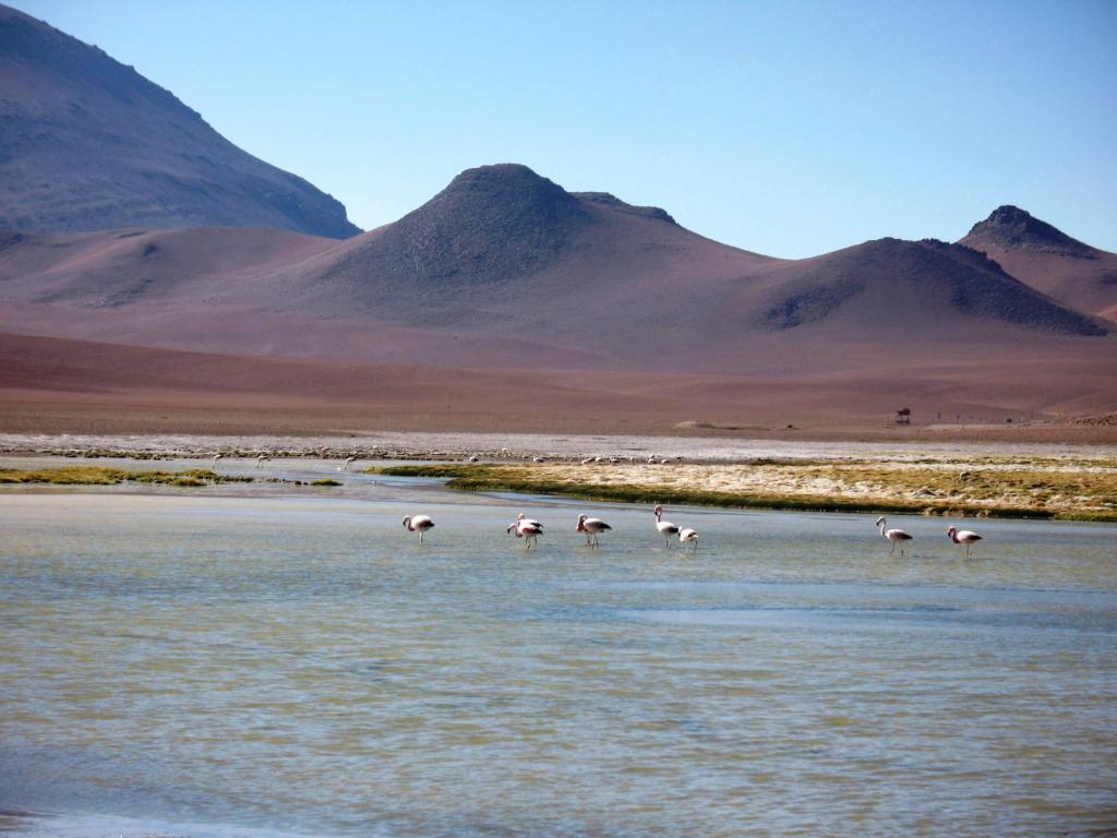 Foto de San Pedro de Atacama, Chile