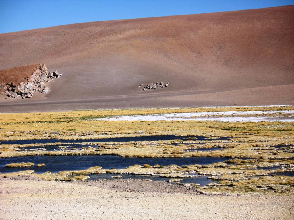 Foto de San Pedro de Atacama, Chile