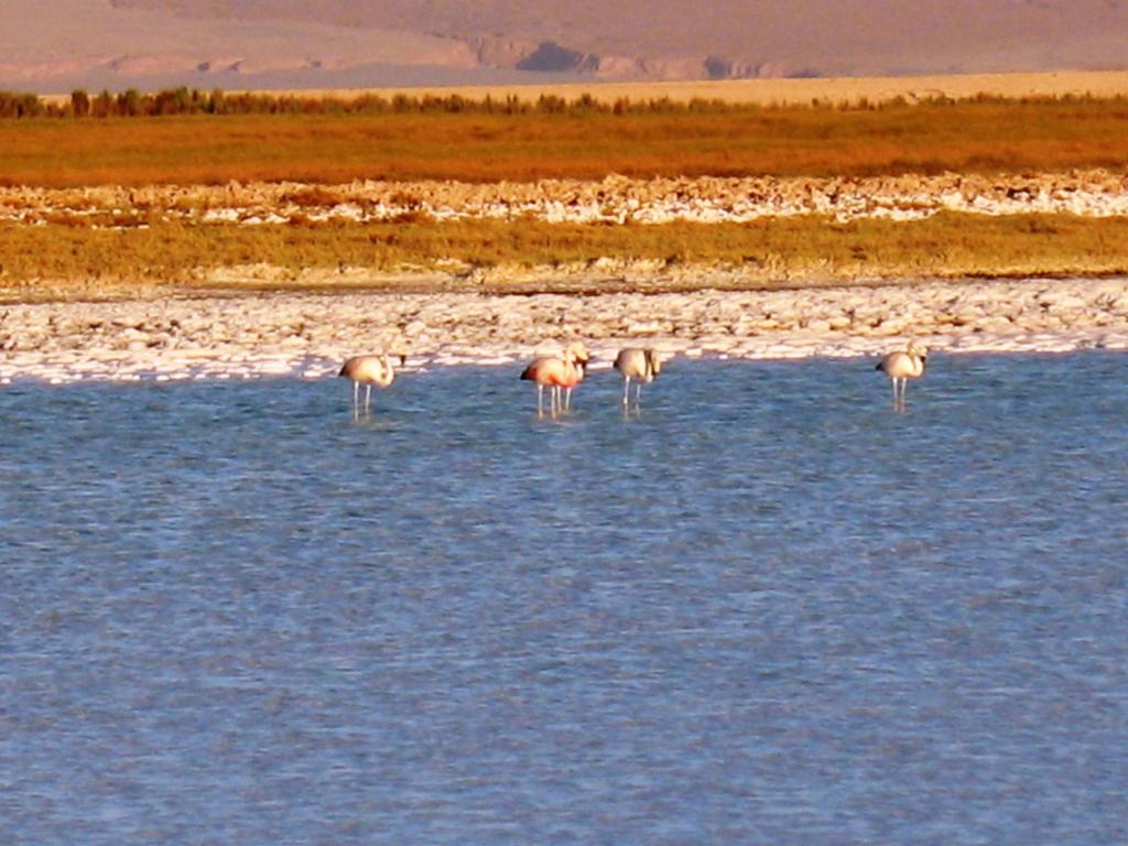 Foto de San Pedro de Atacama, Chile