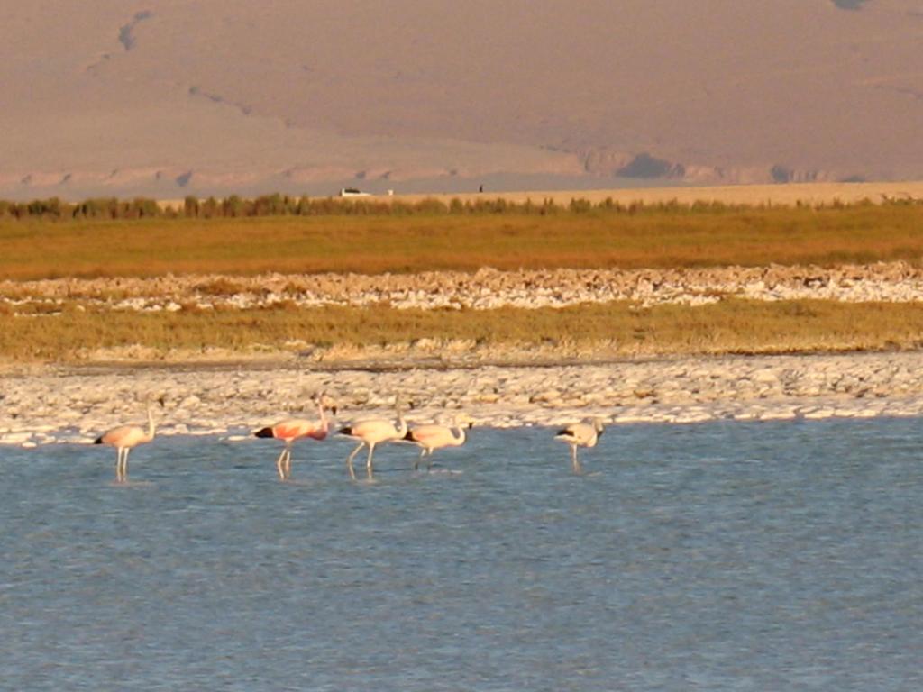 Foto de San Pedro de Atacama, Chile