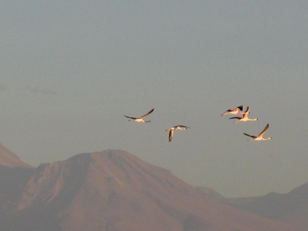 Foto de San Pedro de Atacama, Chile