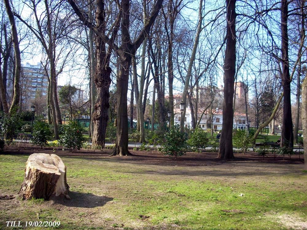 Foto de Oviedo (Asturias), España