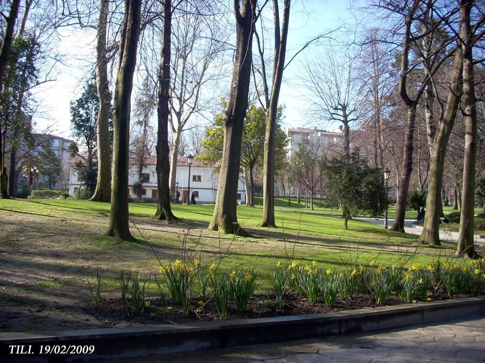 Foto de Oviedo (Asturias), España