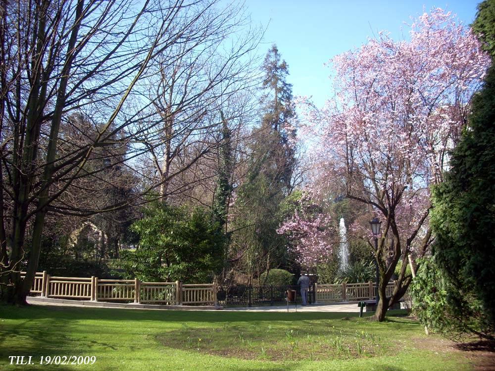 Foto de Oviedo (Asturias), España