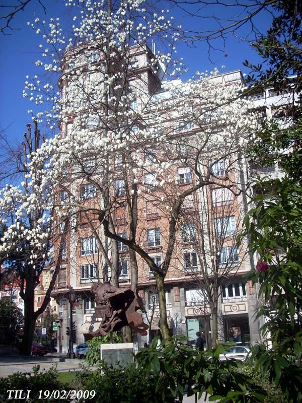 Foto de Oviedo (Asturias), España