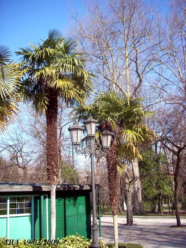 Foto de Oviedo (Asturias), España