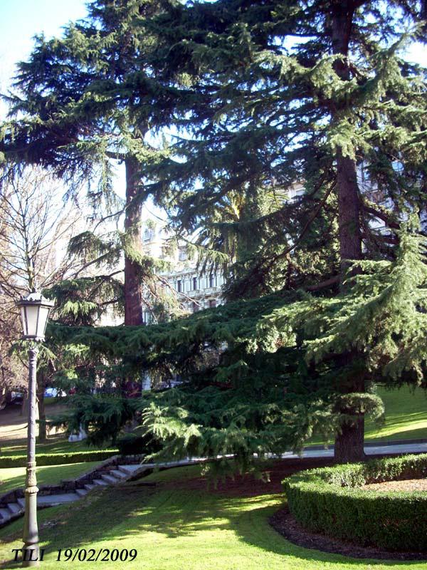 Foto de Oviedo (Asturias), España