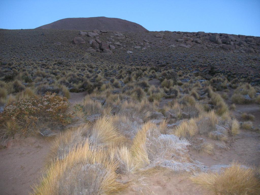 Foto de San Pedro de Atacama, Chile