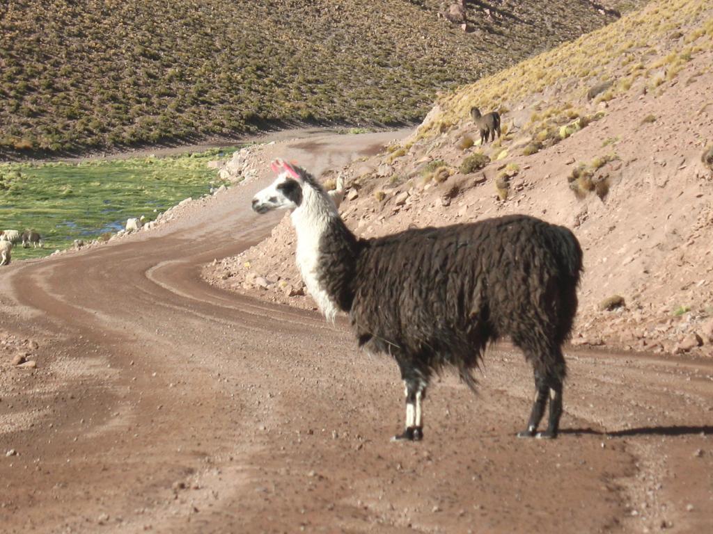 Foto de San Pedro de Atacama, Chile