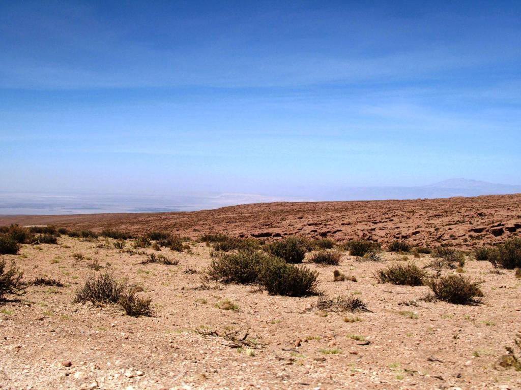 Foto de San Pedro de Atacama, Chile