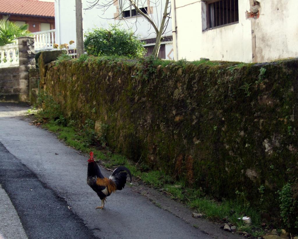 Foto de Argomilla de Cayon (Cantabria), España