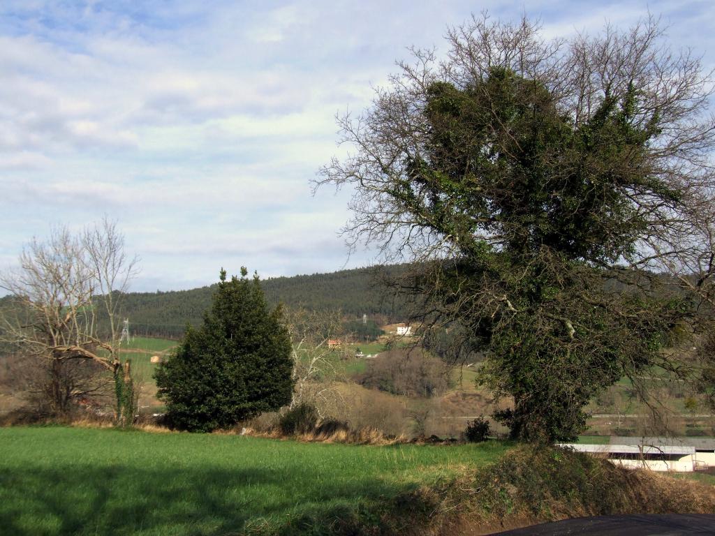 Foto de Argomilla de Cayon (Cantabria), España