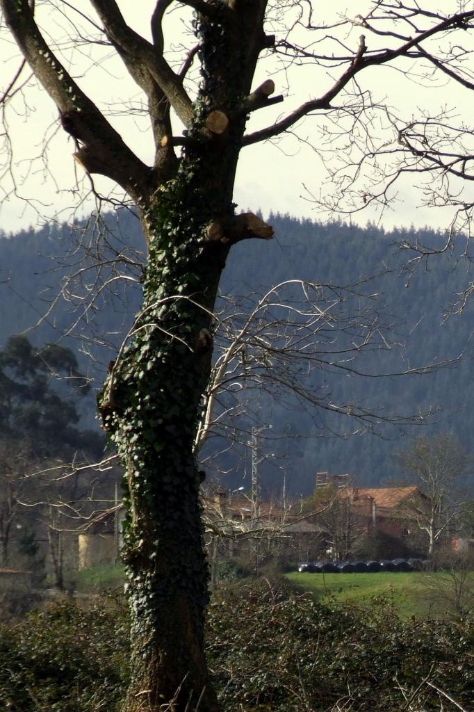 Foto de Argomilla de Cayon (Cantabria), España