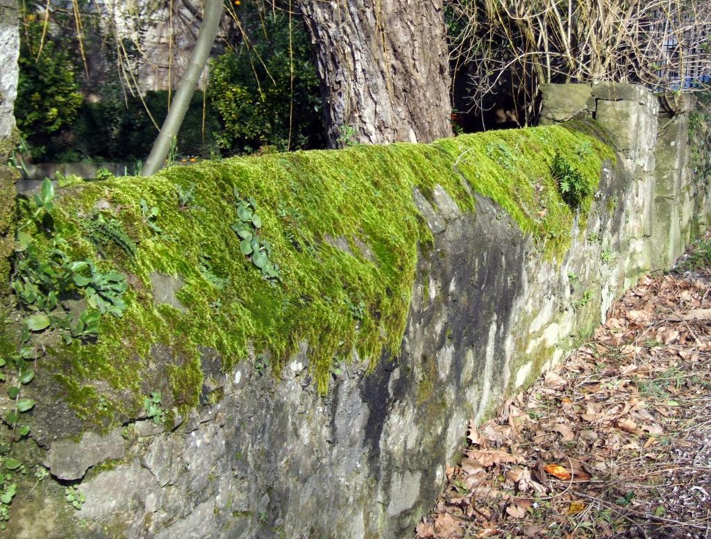 Foto de Argomilla de Cayon (Cantabria), España