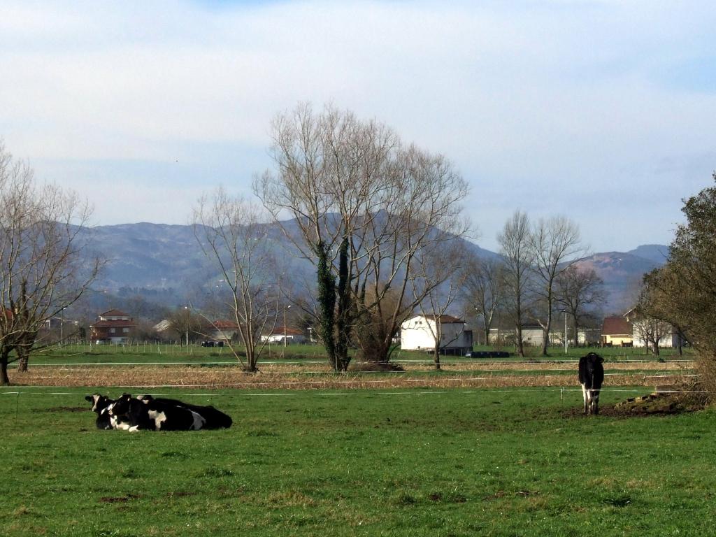 Foto de Argomilla de Cayon (Cantabria), España