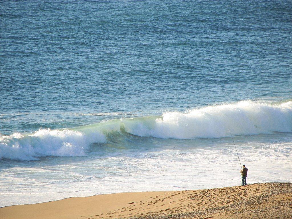 Foto de Algarrobo, Chile