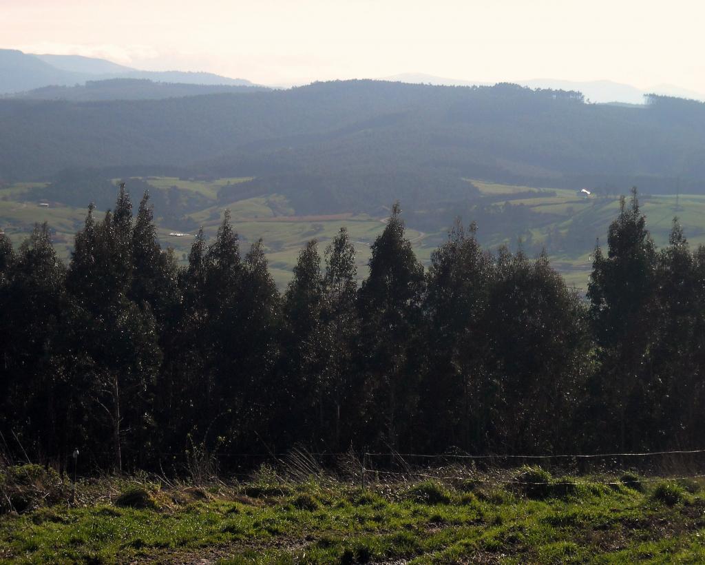 Foto de Camargo (Cantabria), España