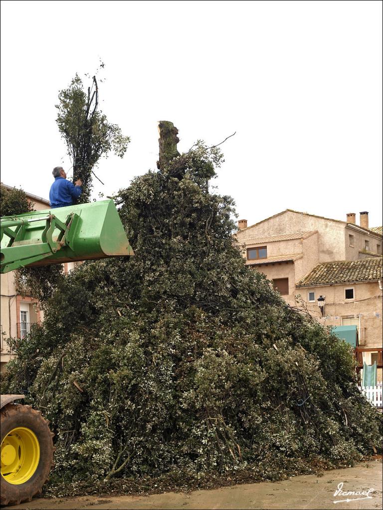 Foto de Alconchel de Ariza (Zaragoza), España