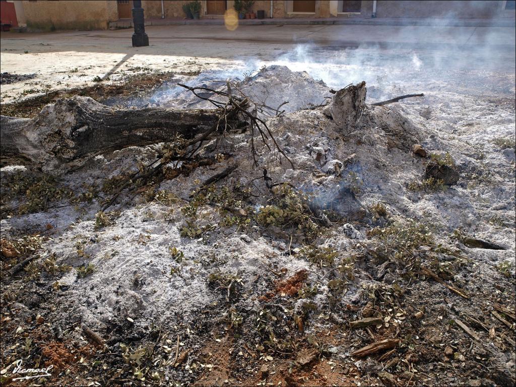 Foto de Alconchel de Ariza (Zaragoza), España