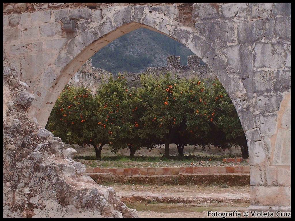 Foto de Valldigna (València), España