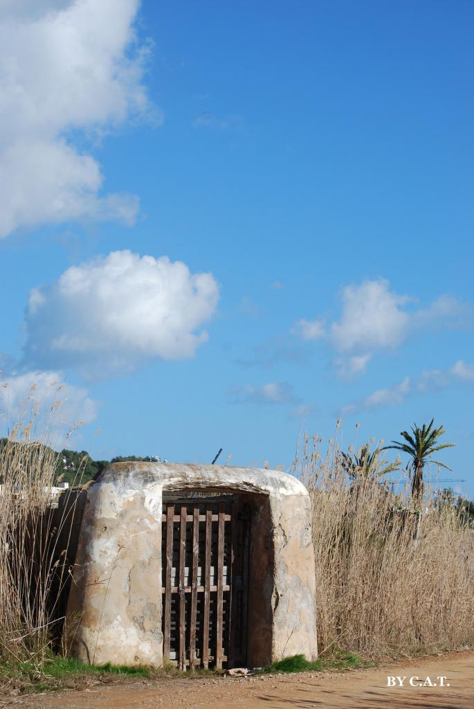 Foto de Ibiza (Eivissa) (Illes Balears), España