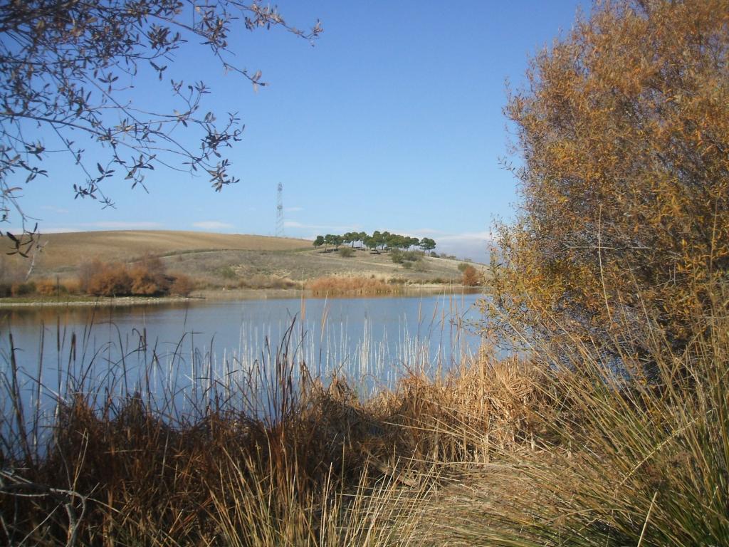 Foto de San Bartolomé de las Alertas (Toledo), España