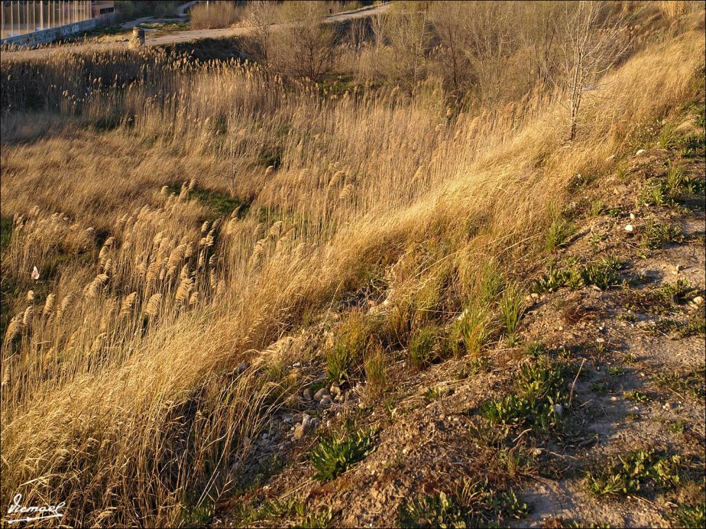 Foto de Zaragoza (Aragón), España