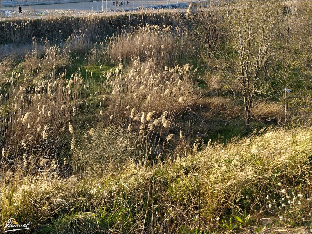 Foto de Zaragoza (Aragón), España