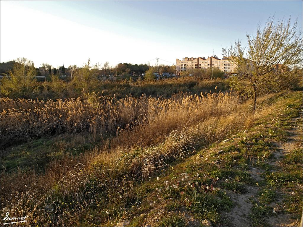 Foto de Zaragoza (Aragón), España