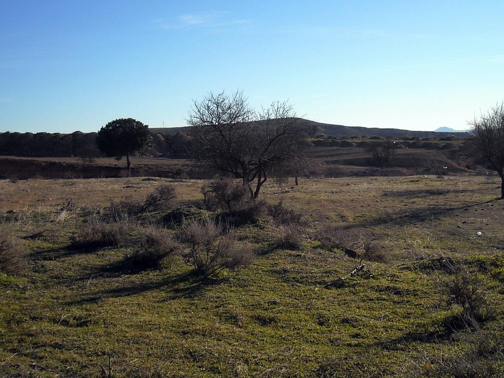 Foto de Chinchilla de Monte Aragon (Albacete), España