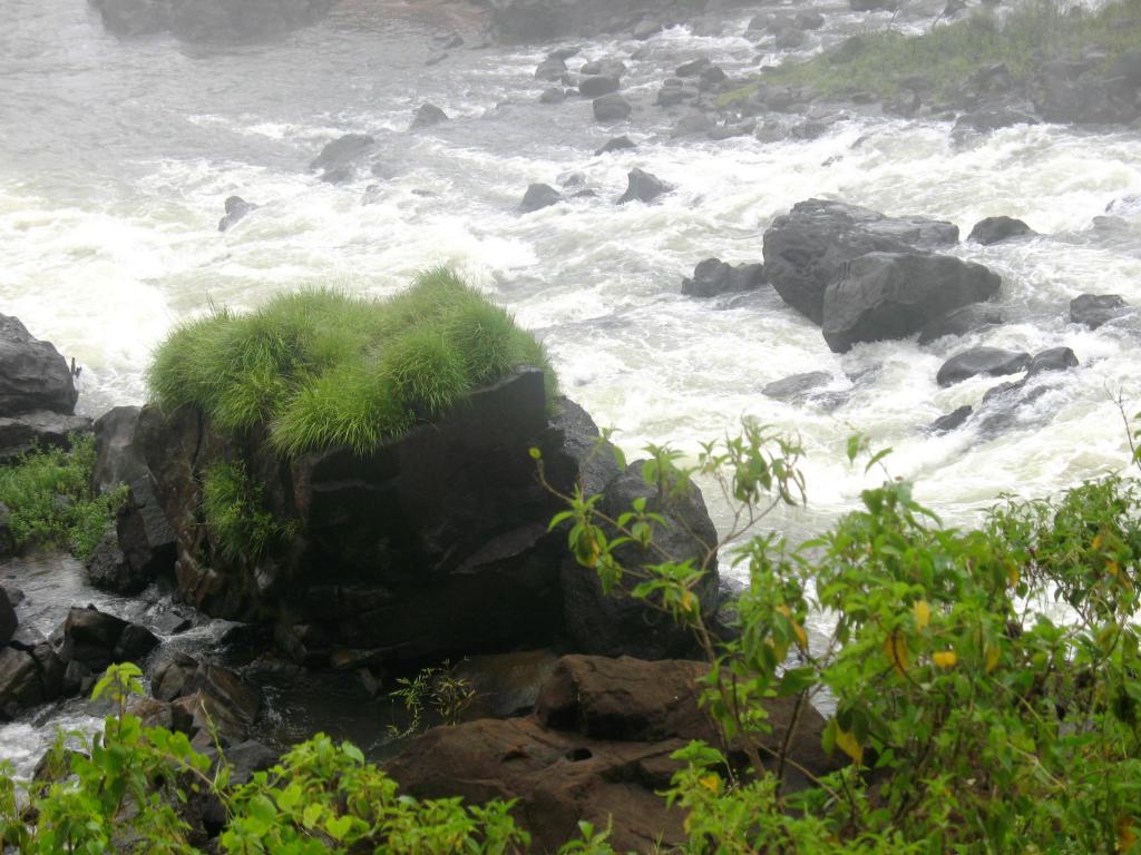 Foto de Iguazu, Argentina