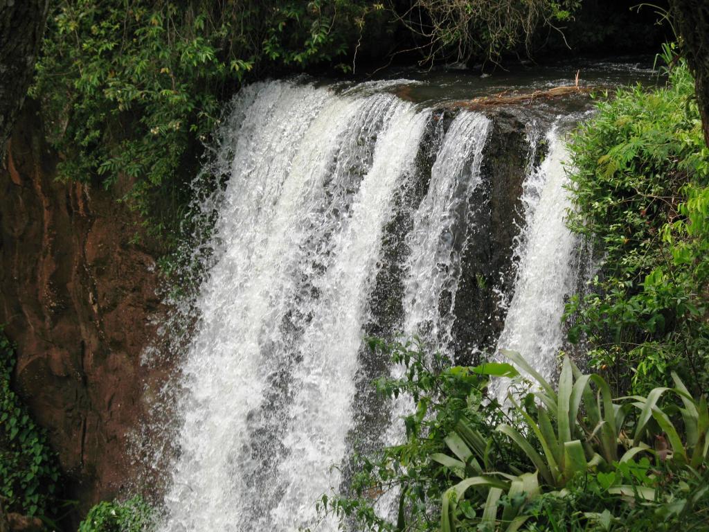 Foto de Iguazu, Argentina