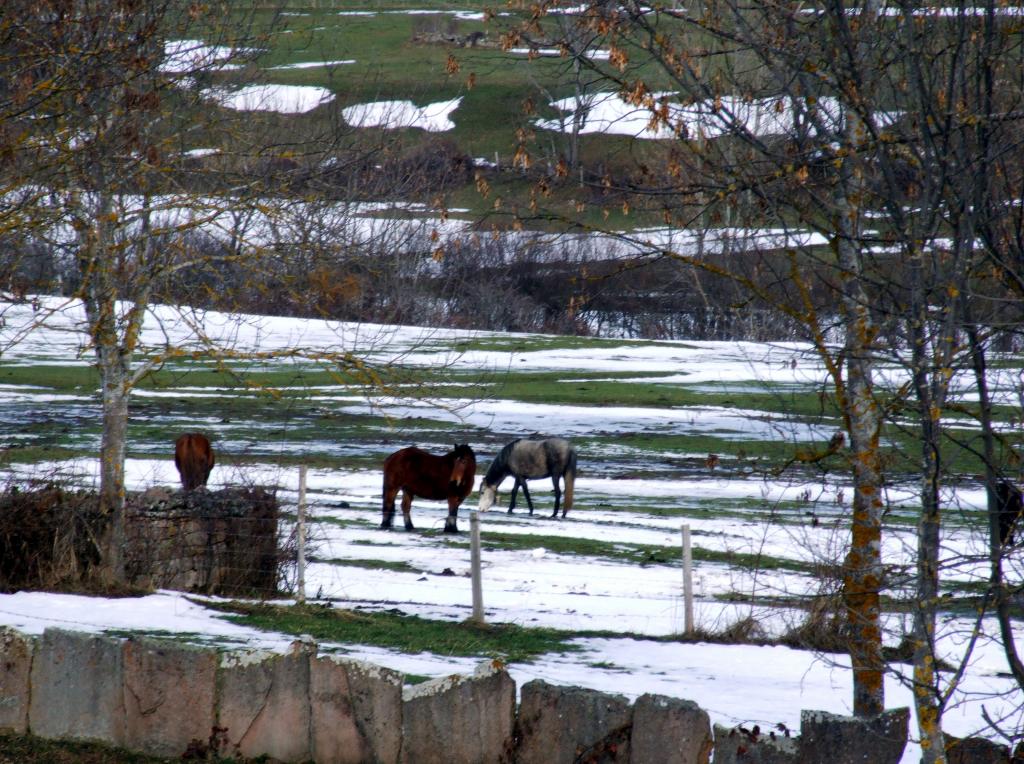 Foto de Entrambasaguas (Cantabria), España