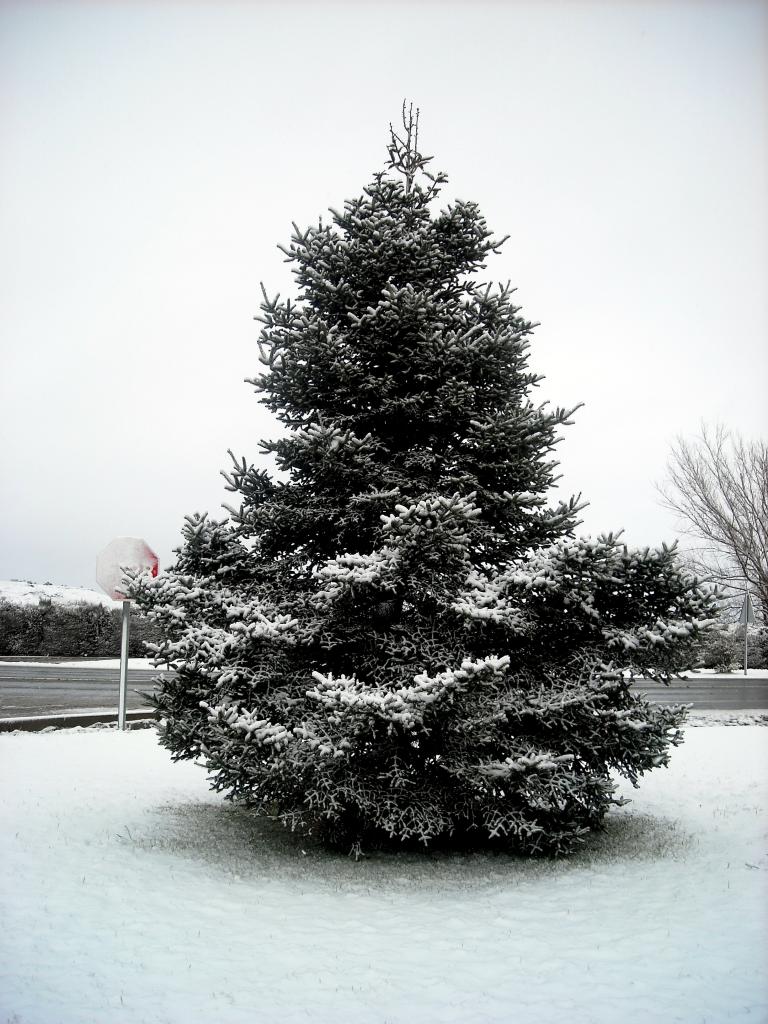 Foto de Fuentespina (Burgos), España