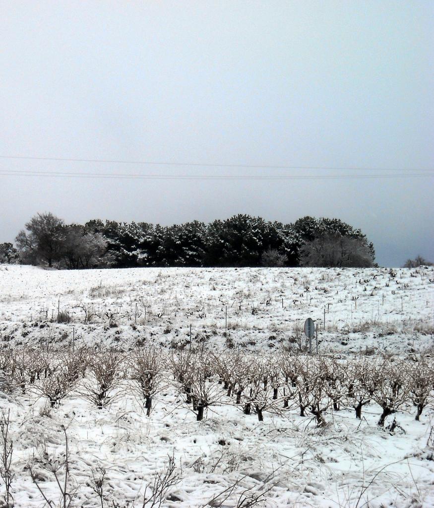 Foto de Fuentespina (Burgos), España