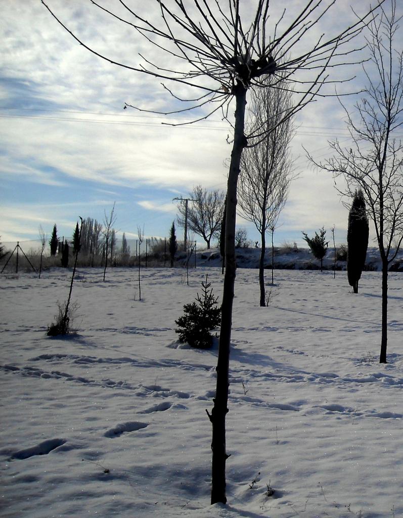 Foto de Fuentespina (Burgos), España