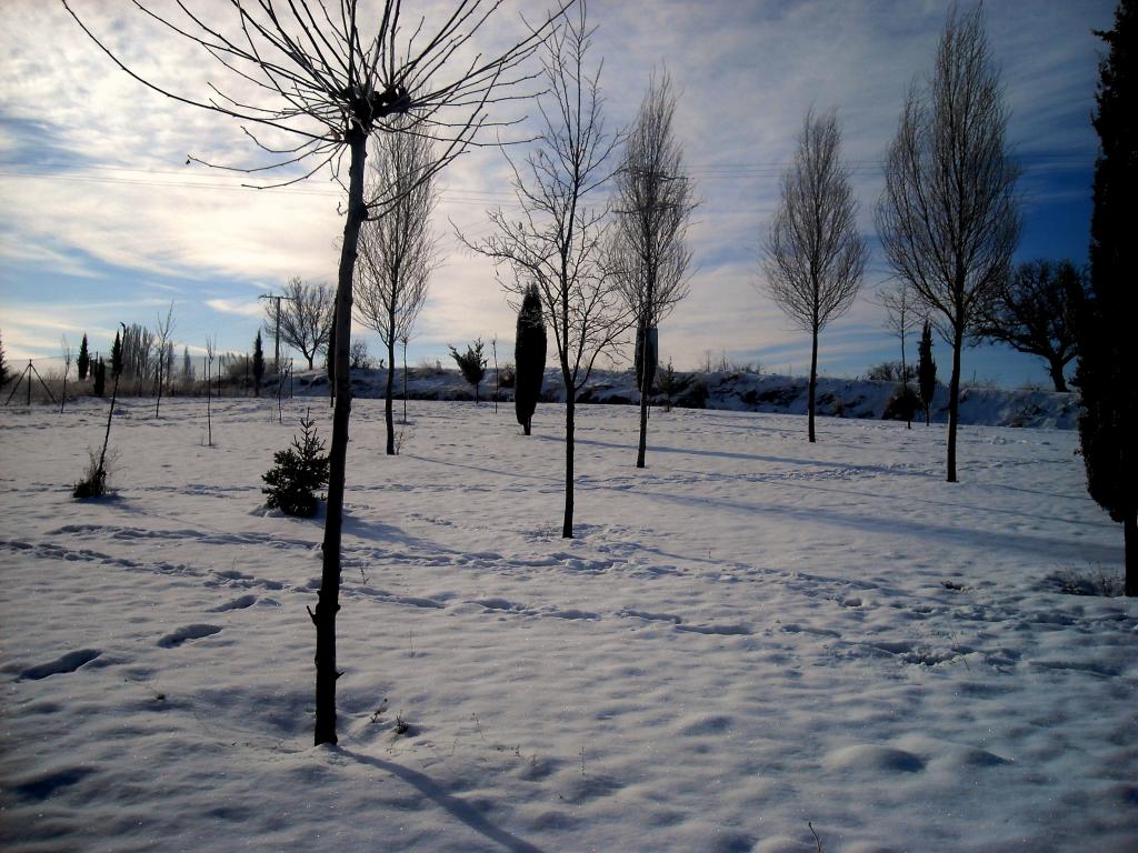 Foto de Fuentespina (Burgos), España