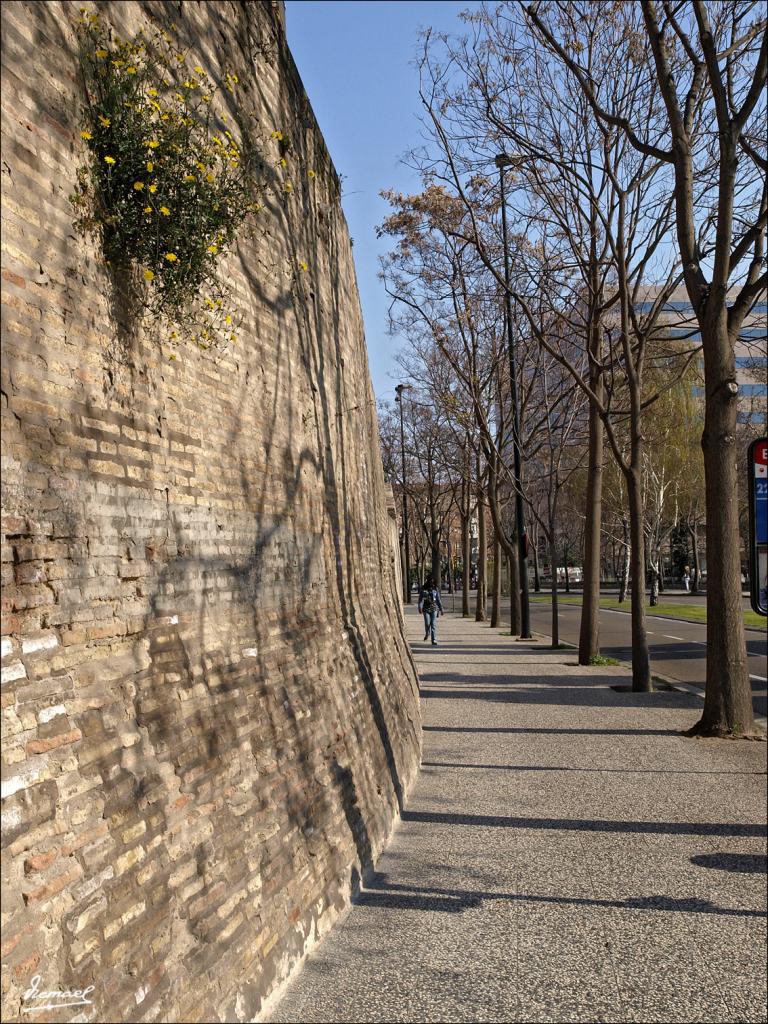 Foto de Zaragoza (Aragón), España