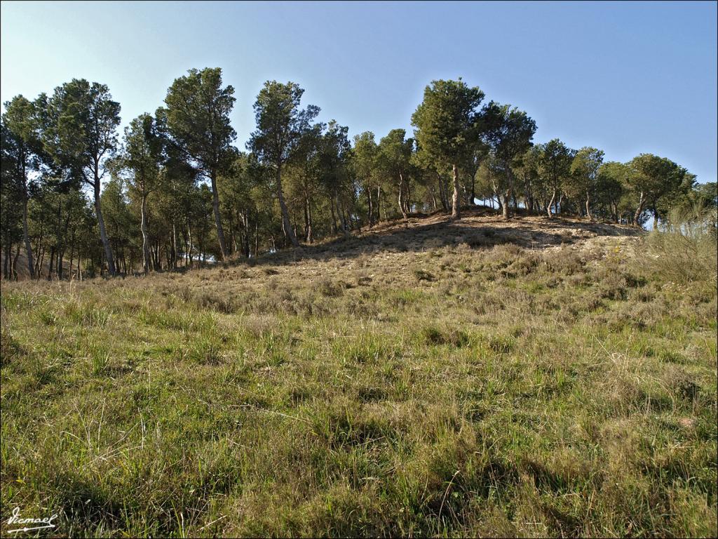 Foto de Zaragoza (Aragón), España