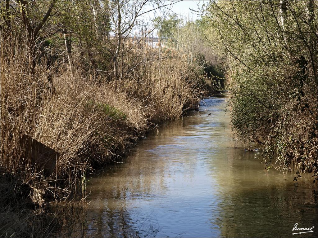 Foto de Zaragoza (Aragón), España