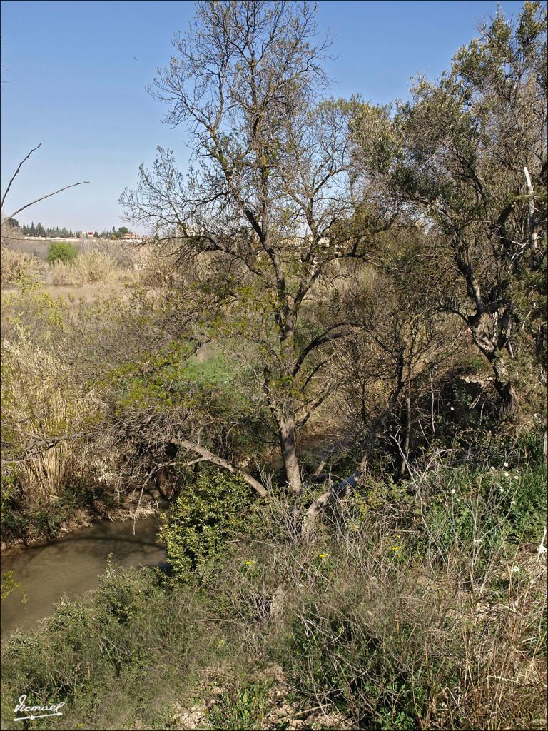 Foto de Zaragoza (Aragón), España